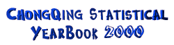 ChongQing Statistical YearBook 2000